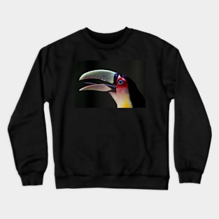 Red Breasted Toucan Portrait at Iguassu, Brazil Crewneck Sweatshirt